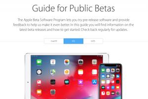 Cum se instalează firmware iOS beta pe iPhone și iPad